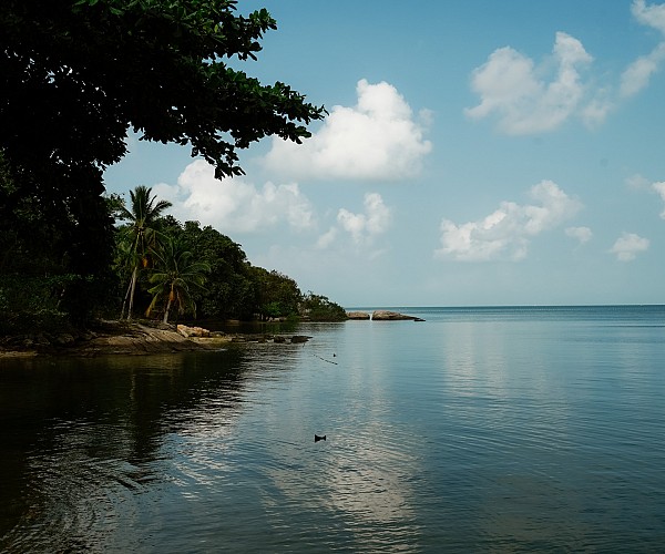 Overview
