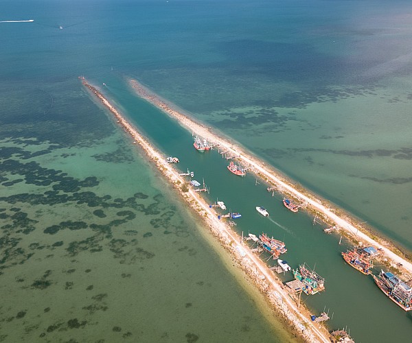 Overview
